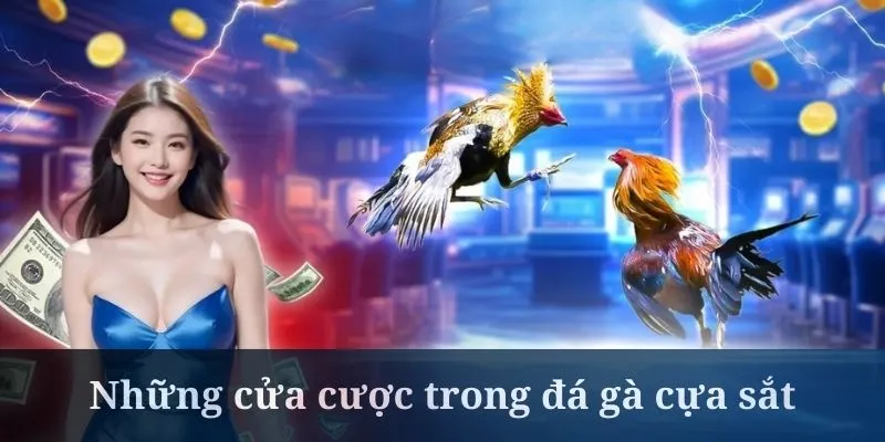 Đấu trường đá gà cựa sắt luôn có nhiều loại hình đặt cược