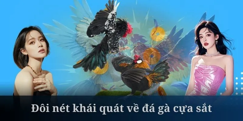 Đá gà cựa sắt là loại hình so tài được yêu thích từ lâu